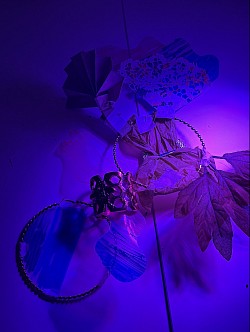 Shadow